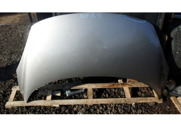 Капот Renault Scenic III, 651000036R